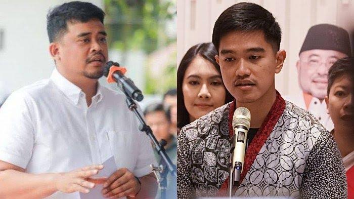 Mengungkap Dinamika Politik, Langkah Bobby dan Kaesang di Pilkada 2024, Sorotan PDIP terhadap Pengaruh Jokowi